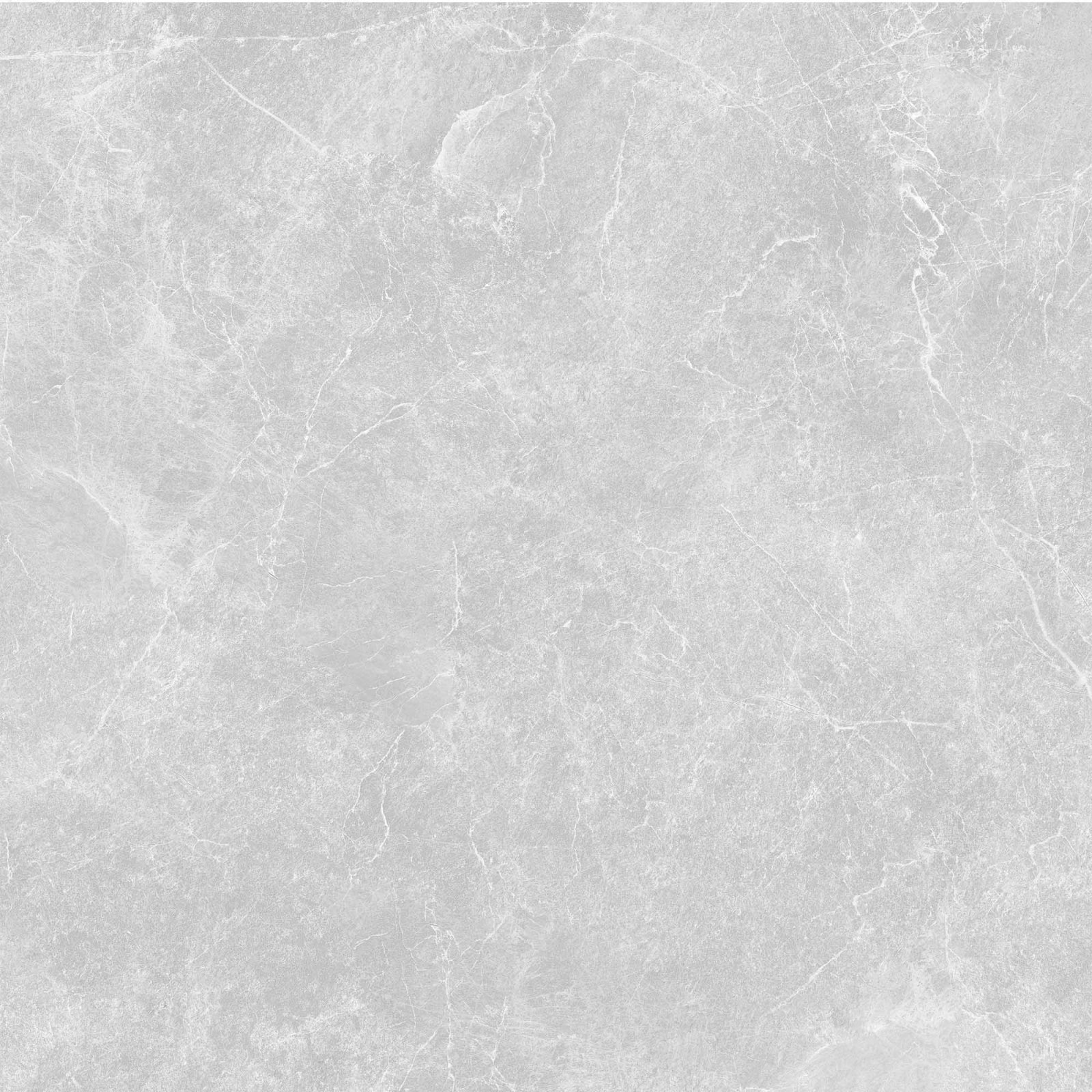 ASIA TILE 50X50 FLORIDA GREY